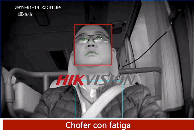 GIF 3